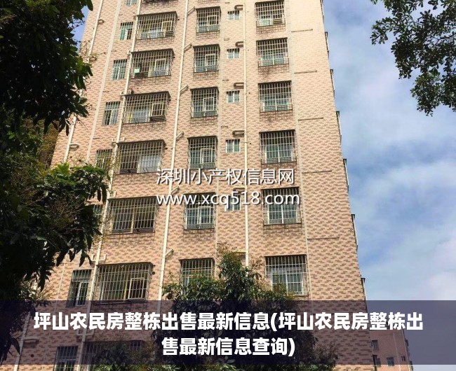 坪山农民房整栋出售最新信息(坪山农民房整栋出售最新信息查询) 坪山农民房整栋出售最新信息(坪山农民房整栋出售最新信息查询)