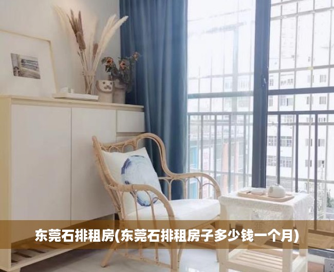 东莞石排租房(东莞石排租房子多少钱一个月)
