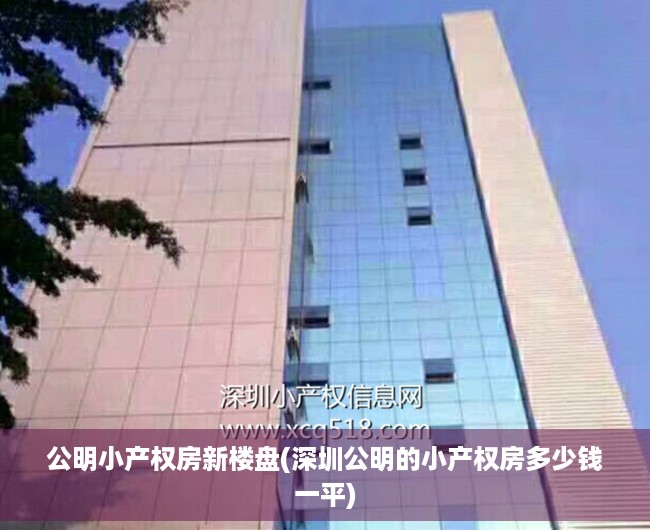 公明小产权房新楼盘(深圳公明的小产权房多少钱一平) 公明小产权房新楼盘(深圳公明的小产权房多少钱一平)