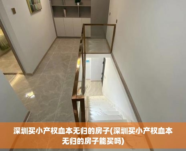 深圳买小产权血本无归的房子(深圳买小产权血本无归的房子能买吗)