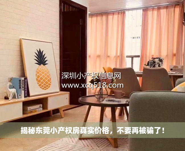 揭秘东莞小产权房真实价格，不要再被骗了！