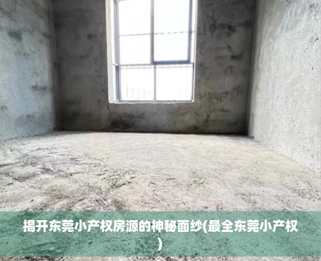 揭开东莞小产权房源的神秘面纱(最全东莞小产权)