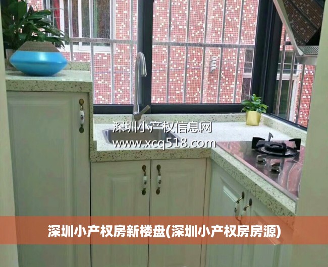 深圳小产权房新楼盘(深圳小产权房房源)