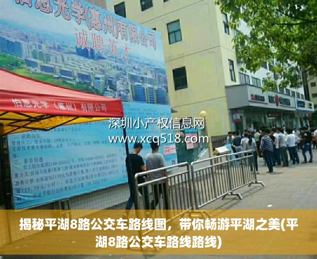 揭秘平湖8路公交车路线图，带你畅游平湖之美(平湖8路公交车路线路线)