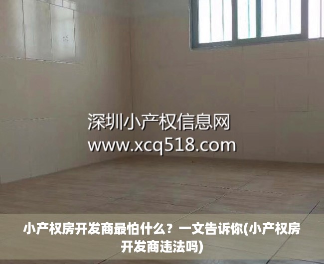 小产权房开发商最怕什么？一文告诉你(小产权房开发商违法吗)