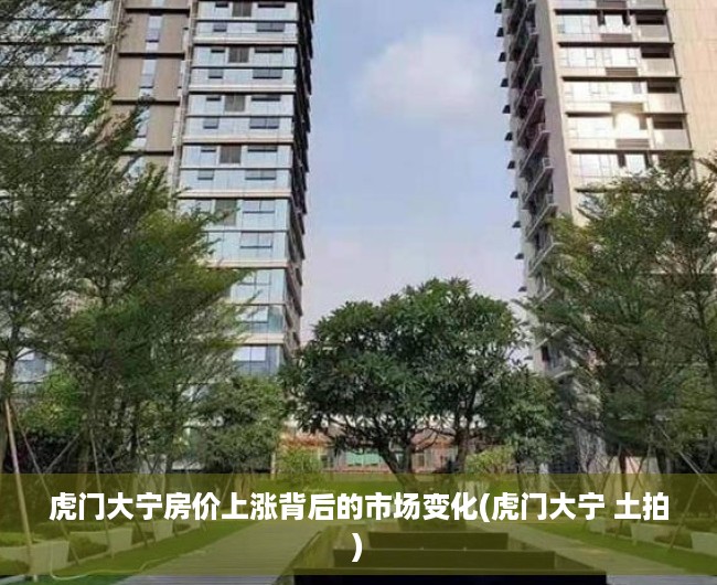 虎门大宁房价上涨背后的市场变化(虎门大宁 土拍)