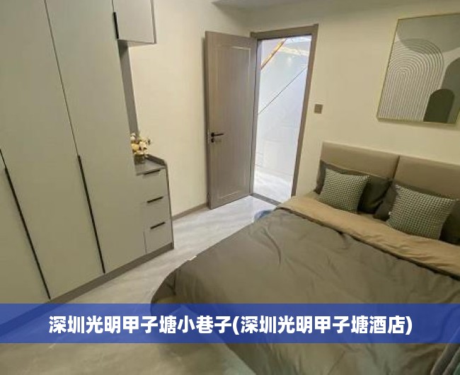 深圳光明甲子塘小巷子(深圳光明甲子塘酒店)