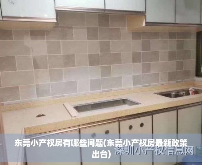 东莞小产权房有哪些问题(东莞小产权房最新政策出台) 东莞小产权房有哪些问题(东莞小产权房最新政策出台)