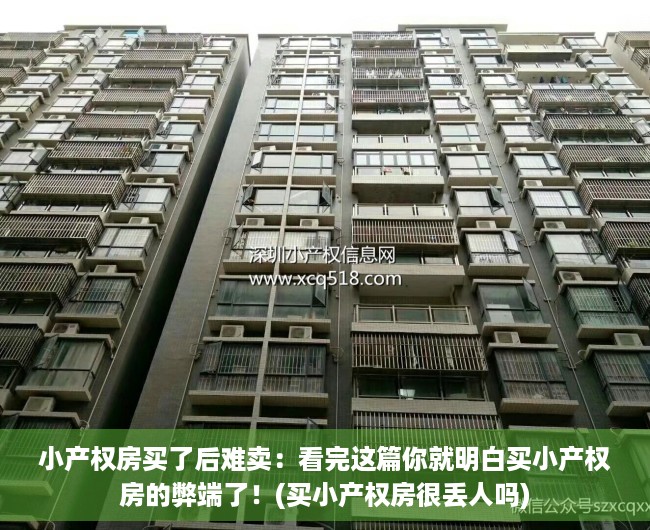 小产权房买了后难卖：看完这篇你就明白买小产权房的弊端了！(买小产权房很丢人吗)