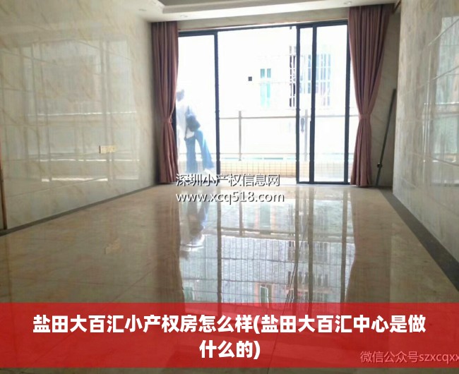 盐田大百汇小产权房怎么样(盐田大百汇中心是做什么的) 盐田大百汇小产权房怎么样(盐田大百汇中心是做什么的)