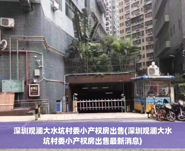 深圳观澜大水坑村委小产权房出售(深圳观澜大水坑村委小产权房出售最新消息)