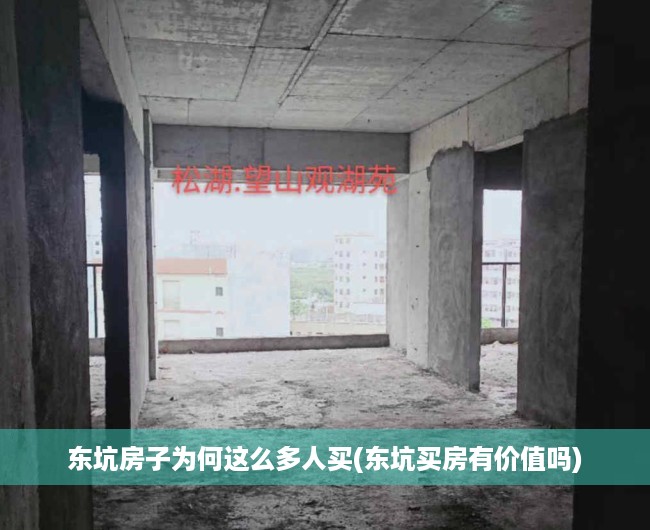 东坑房子为何这么多人买(东坑买房有价值吗) 东坑房子为何这么多人买(东坑买房有价值吗)