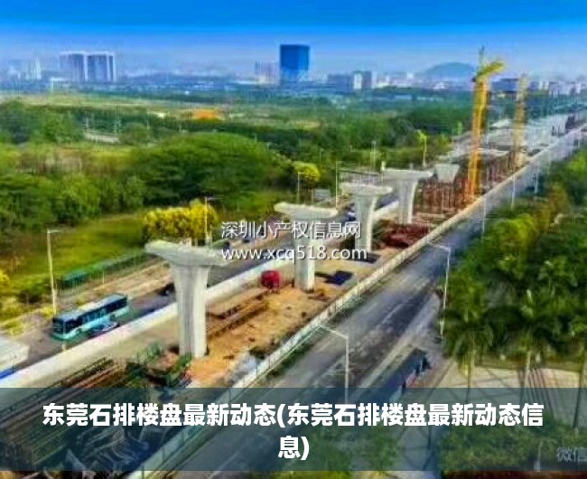 东莞石排楼盘最新动态(东莞石排楼盘最新动态信息) 东莞石排楼盘最新动态(东莞石排楼盘最新动态信息)