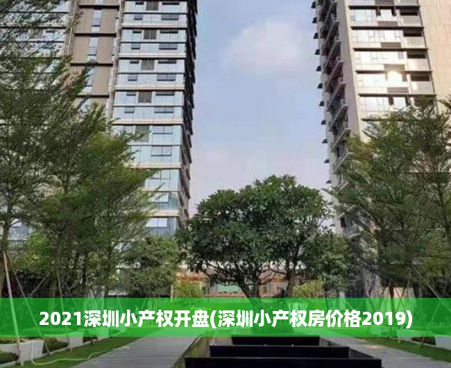 2021深圳小产权开盘(深圳小产权房价格2019)
