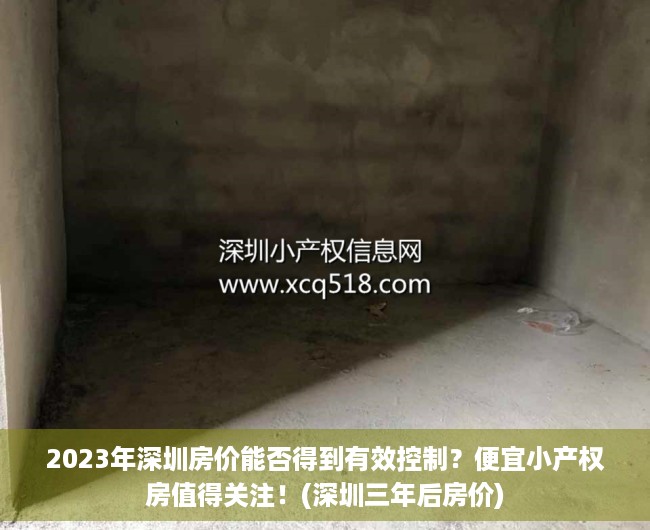 2023年深圳房价能否得到有效控制？便宜小产权房值得关注！(深圳三年后房价)