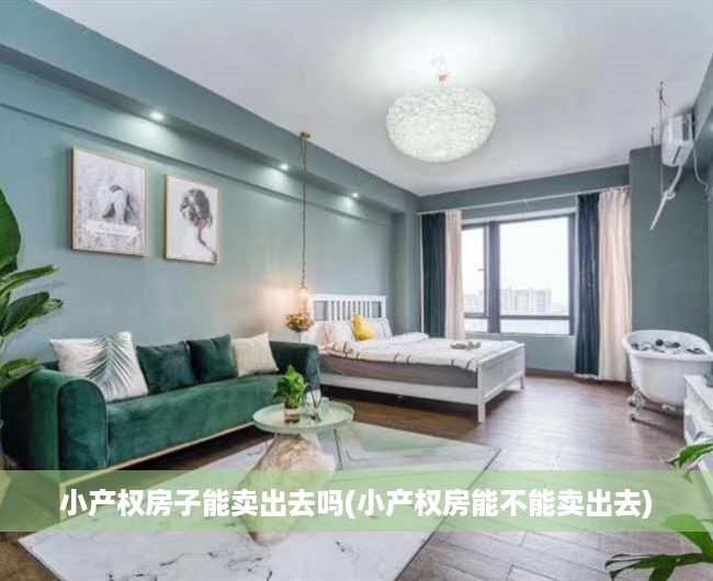 小产权房子能卖出去吗(小产权房能不能卖出去) 小产权房子能卖出去吗(小产权房能不能卖出去)