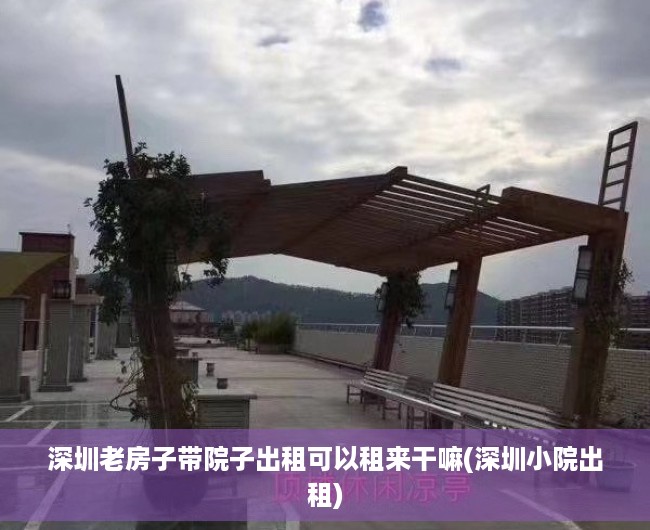 深圳老房子带院子出租可以租来干嘛(深圳小院出租)