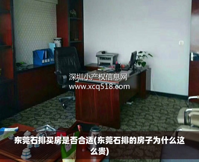东莞石排买房是否合适(东莞石排的房子为什么这么贵) 东莞石排买房是否合适(东莞石排的房子为什么这么贵)
