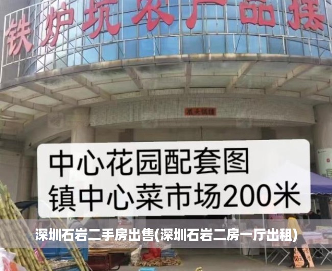 深圳石岩二手房出售(深圳石岩二房一厅出租) 深圳石岩二手房出售(深圳石岩二房一厅出租)