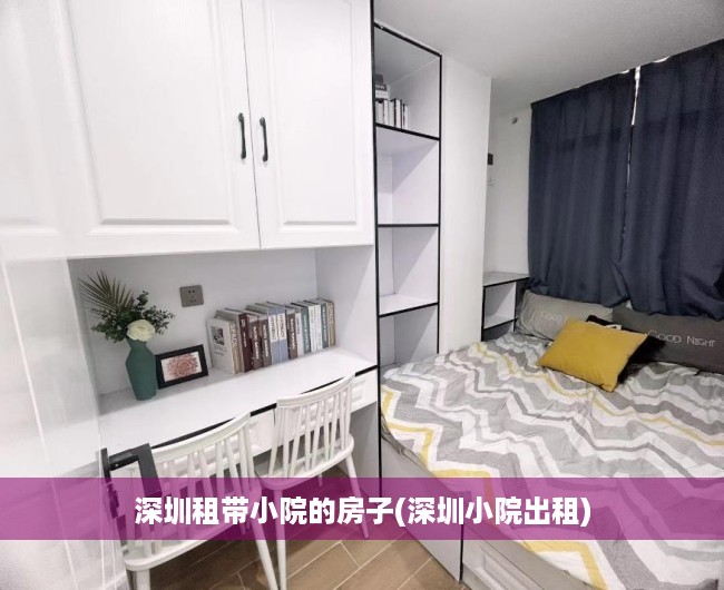 深圳租带小院的房子(深圳小院出租)