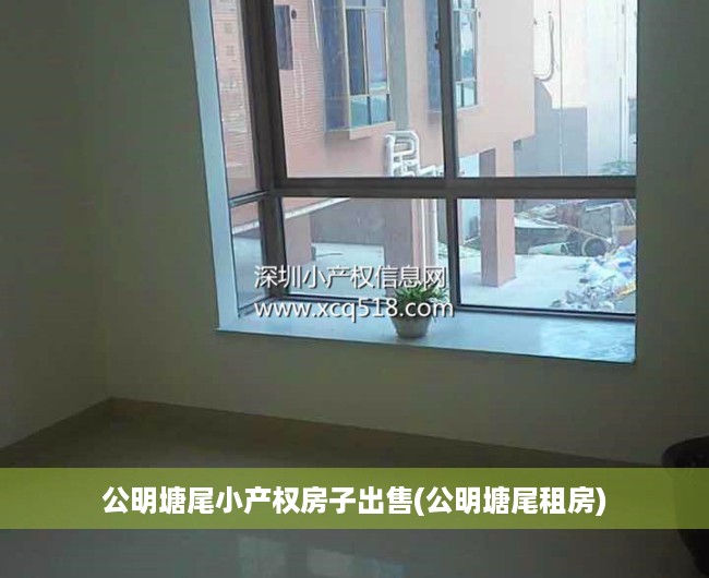 公明塘尾小产权房子出售(公明塘尾租房)