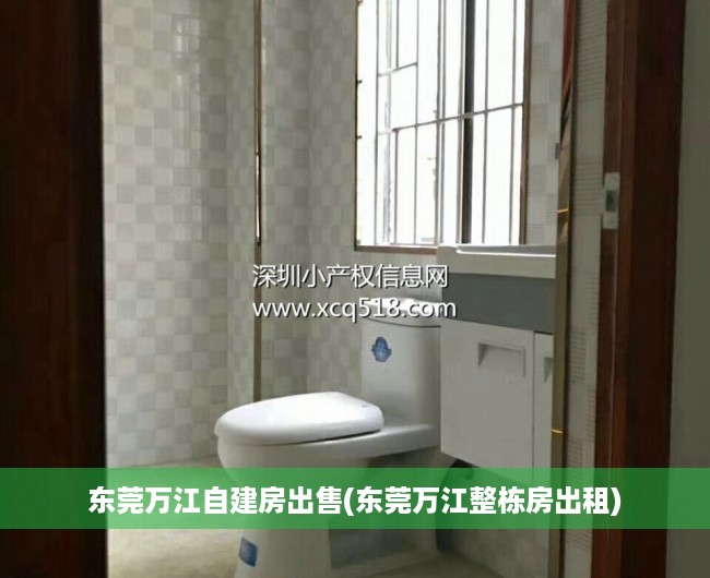 东莞万江自建房出售(东莞万江整栋房出租) 东莞万江自建房出售(东莞万江整栋房出租)