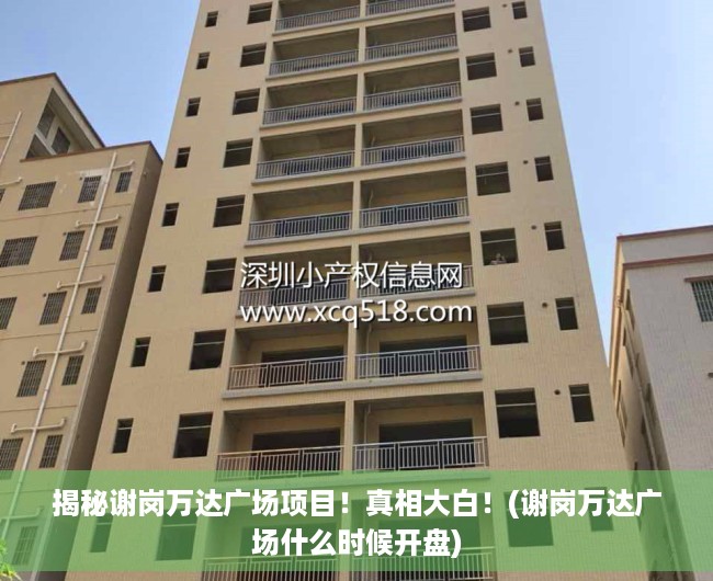 揭秘谢岗万达广场项目！真相大白！(谢岗万达广场什么时候开盘)