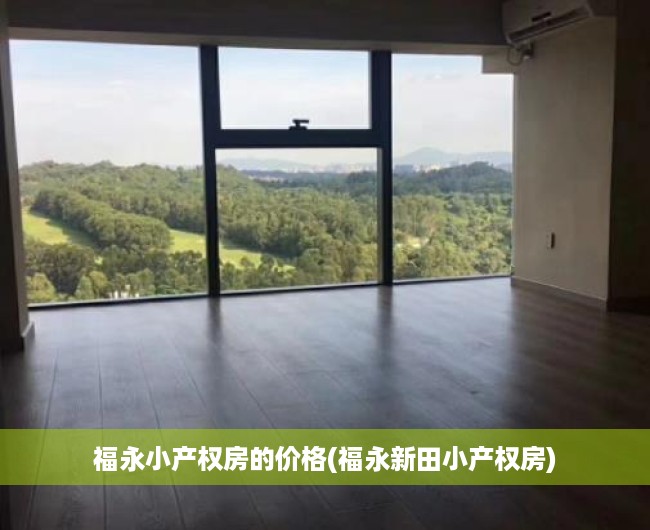 福永小产权房的价格(福永新田小产权房)