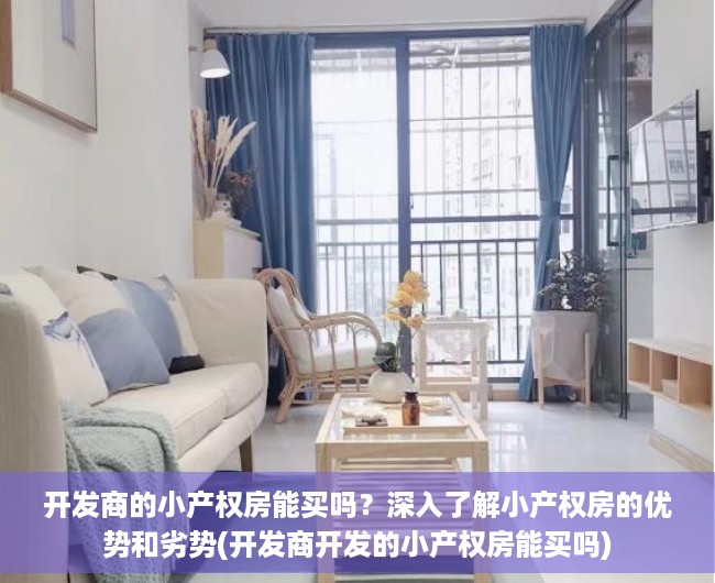 开发商的小产权房能买吗？深入了解小产权房的优势和劣势(开发商开发的小产权房能买吗)