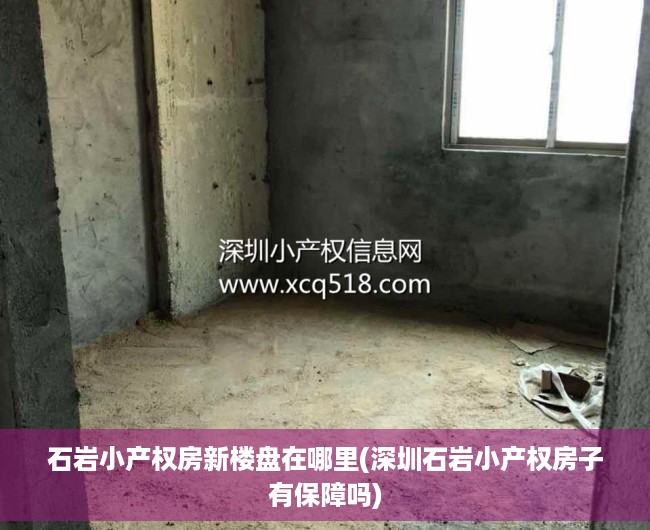 石岩小产权房新楼盘在哪里(深圳石岩小产权房子有保障吗) 石岩小产权房新楼盘在哪里(深圳石岩小产权房子有保障吗)