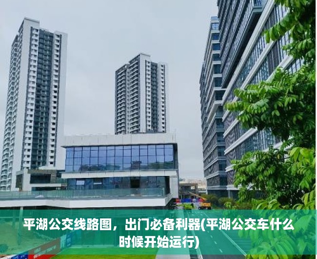 平湖公交线路图，出门必备利器(平湖公交车什么时候开始运行)
