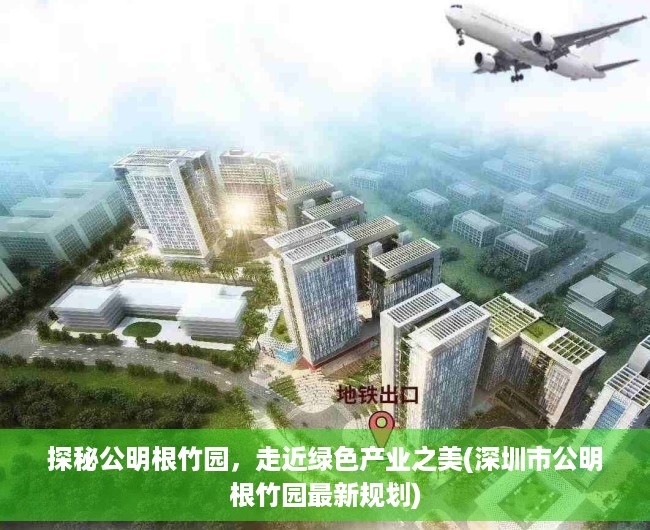 探秘公明根竹园，走近绿色产业之美(深圳市公明根竹园最新规划)