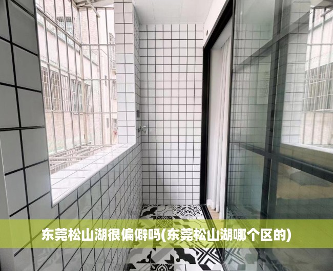 东莞松山湖很偏僻吗(东莞松山湖哪个区的)