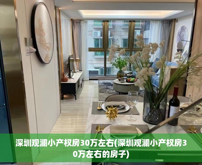 深圳观澜小产权房30万左右(深圳观澜小产权房30万左右的房子)