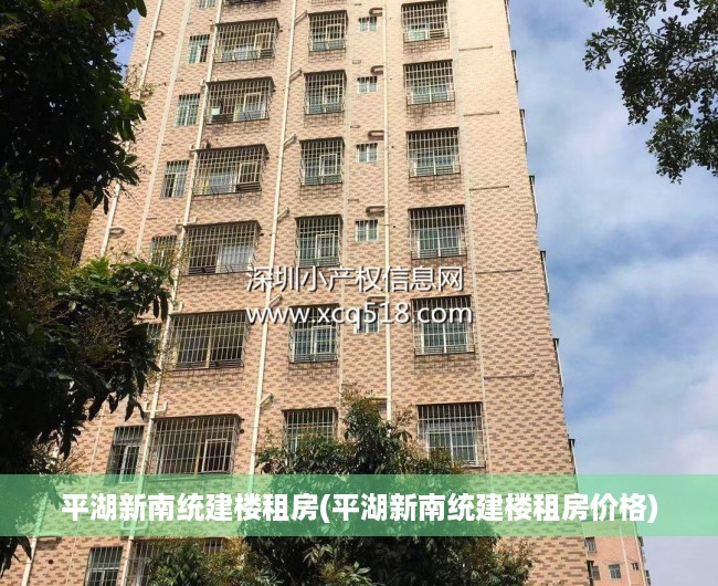 平湖新南统建楼租房(平湖新南统建楼租房价格)