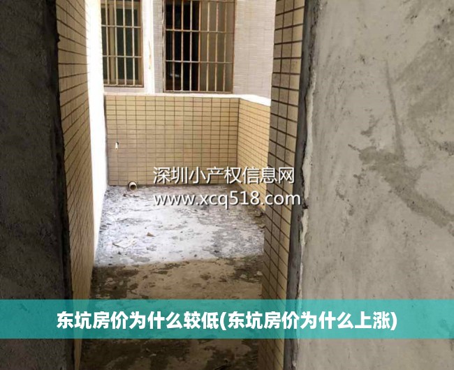 东坑房价为什么较低(东坑房价为什么上涨)