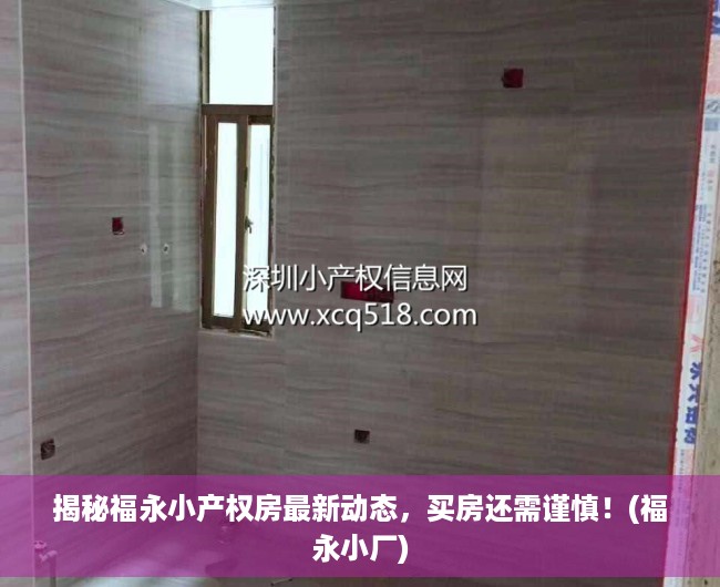 揭秘福永小产权房最新动态，买房还需谨慎！(福永小厂)