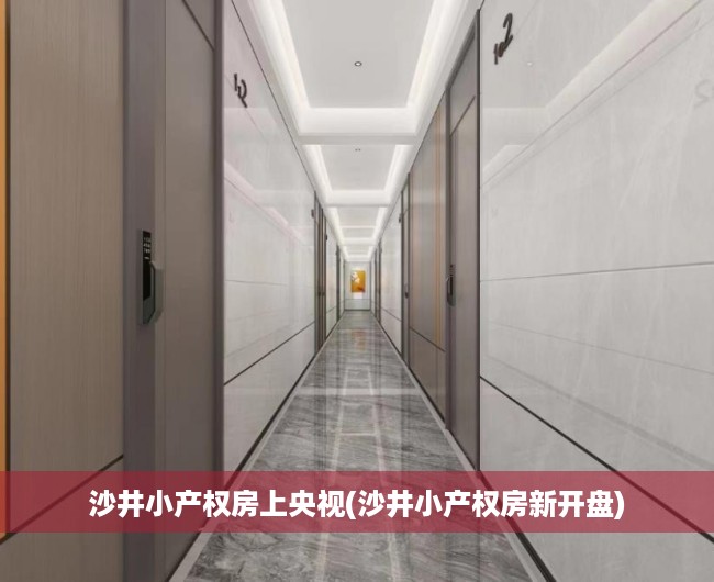 沙井小产权房上央视(沙井小产权房新开盘) 沙井小产权房上央视(沙井小产权房新开盘)