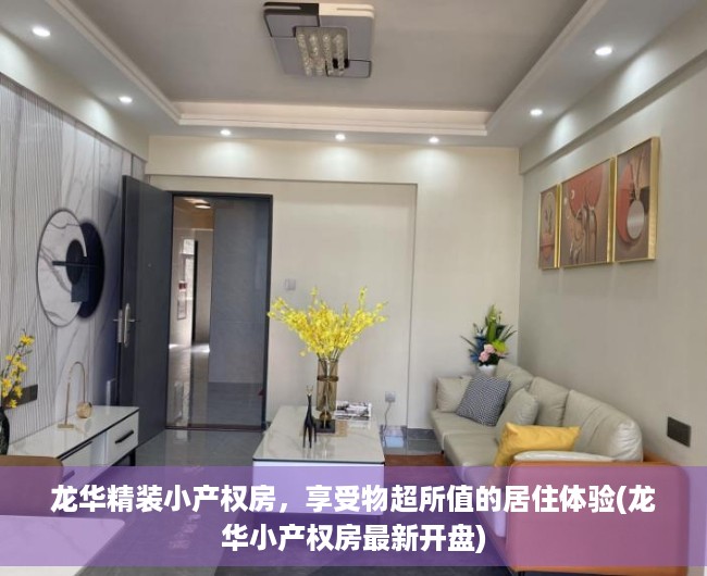 龙华精装小产权房，享受物超所值的居住体验(龙华小产权房最新开盘)