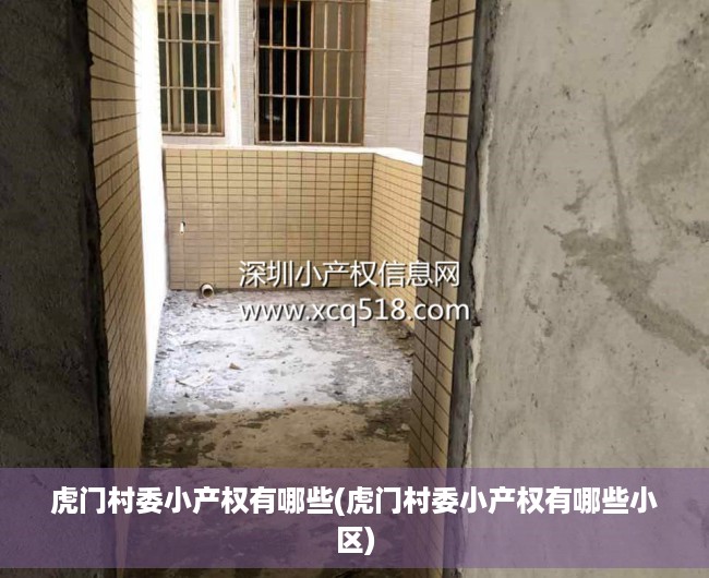 虎门村委小产权有哪些(虎门村委小产权有哪些小区) 虎门村委小产权有哪些(虎门村委小产权有哪些小区)