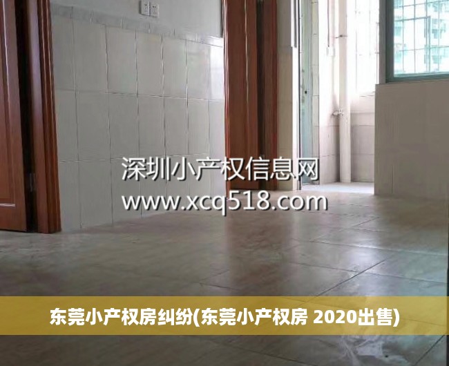 东莞小产权房纠纷(东莞小产权房 2020出售)