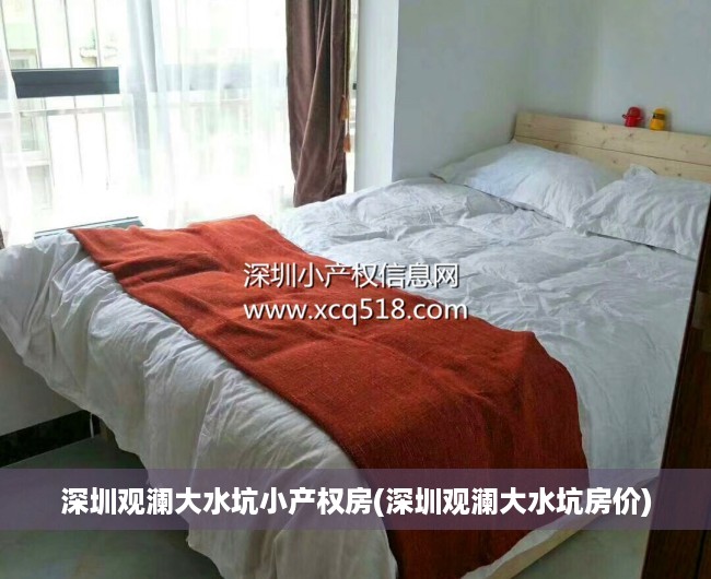 深圳观澜大水坑小产权房(深圳观澜大水坑房价)