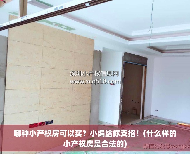 哪种小产权房可以买？小编给你支招！(什么样的小产权房是合法的)