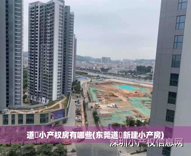 道滘小产权房有哪些(东莞道滘新建小产房) 道滘小产权房有哪些(东莞道滘新建小产房)