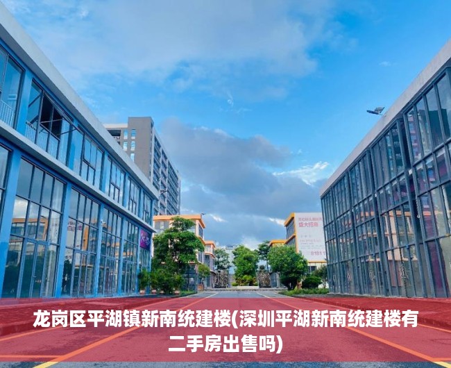 龙岗区平湖镇新南统建楼(深圳平湖新南统建楼有二手房出售吗)