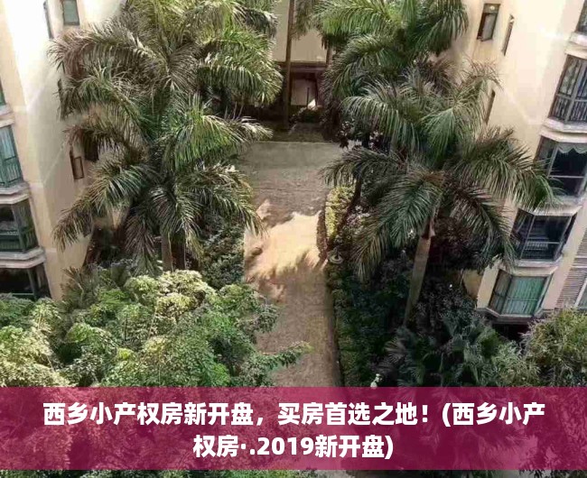 西乡小产权房新开盘，买房首选之地！(西乡小产权房·.2019新开盘)