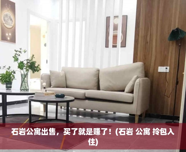 石岩公寓出售，买了就是赚了！(石岩 公寓 拎包入住)