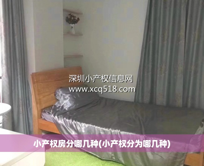 小产权房分哪几种(小产权分为哪几种) 小产权房分哪几种(小产权分为哪几种)