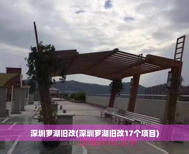 深圳罗湖旧改(深圳罗湖旧改17个项目)