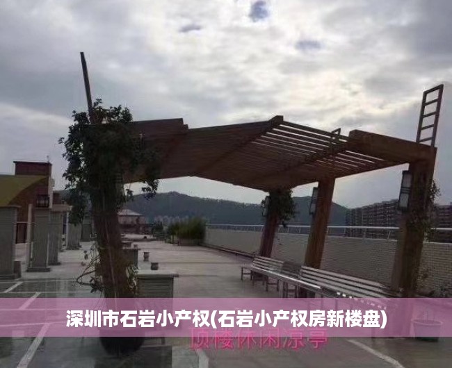 深圳市石岩小产权(石岩小产权房新楼盘)